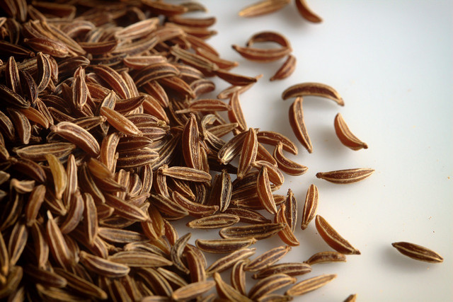 Caraway seeds are a good substitute for coriander seeds.