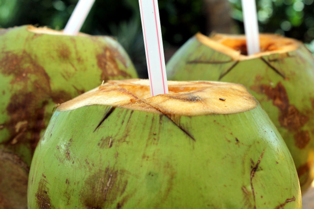 Coconut milk vs. coconut water difference number one: coconut water comes from young green coconuts.