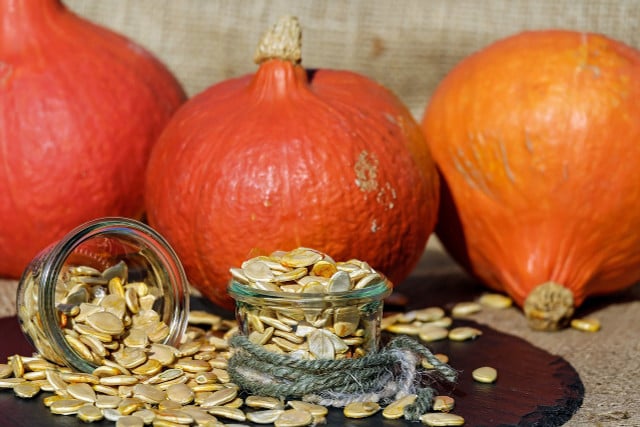 Pumpkin seeds are high in magnesium to reduce cortisol secretion.