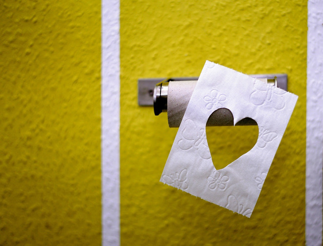 There are sustainable alternatives to toilet paper in general