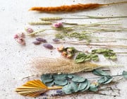 how to dry flowers