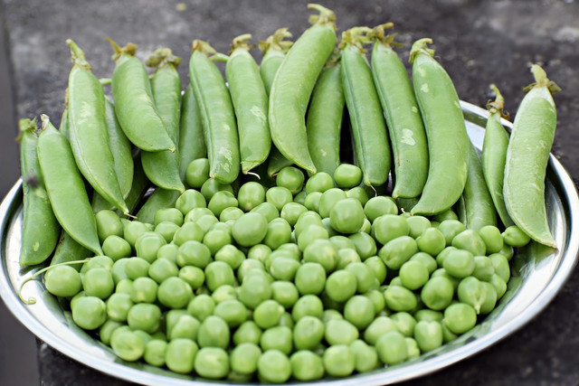 Peas are a good source of protein and a good vegan alternative to whey protein.