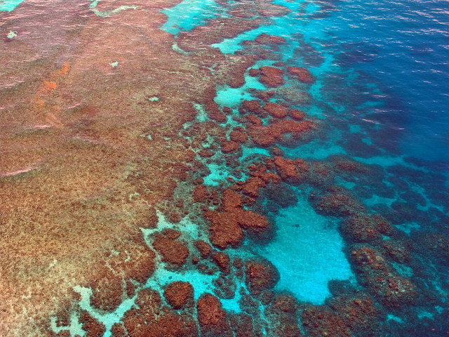 The Great Barrier Reef in Australia is being bleached due to climate change. 