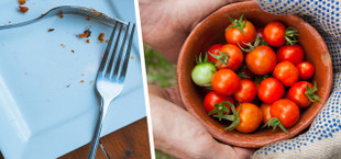 Reducing foods pro tips reduce food waste clean your plate and share