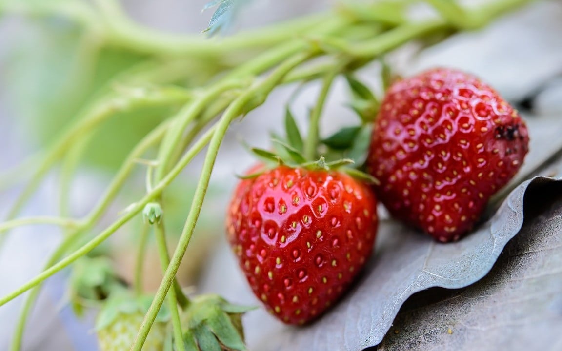 Mold on Strawberries: Can You Cut Out the Bad Spots?