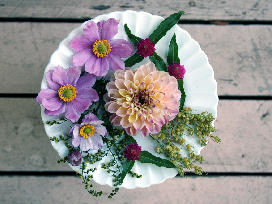 Your Ultimate Guide to Edible Flowers and Their Uses - Utopia