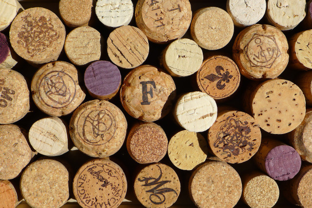 What is cork? And what is synthetic cork?