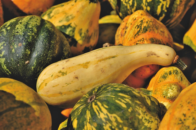 Like pumpkins, butternut squash are a fruit that is almost solely referred to as a vegetable.