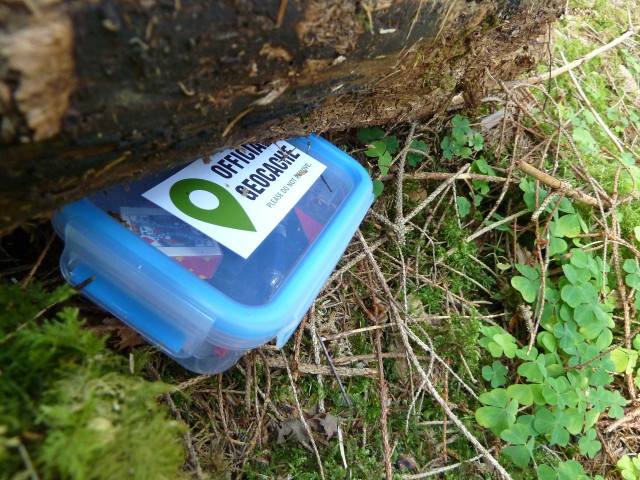 Geocaches are tucked away in hidden places.