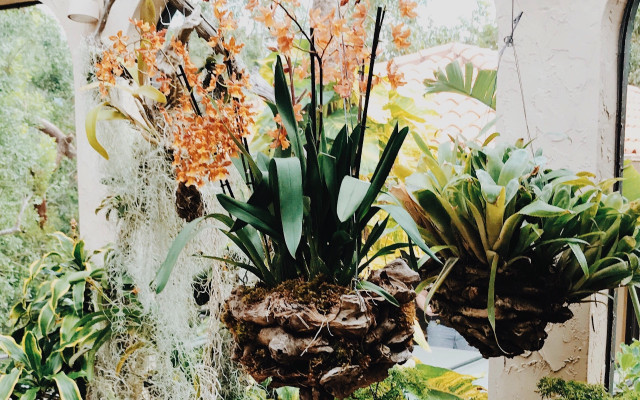 HangingBaskets-us-StephanieHarvey-210330-1280x800 Hanging Baskets Garden