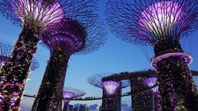 Singapore's Gardens by the Bay are an example of solarpunk.
