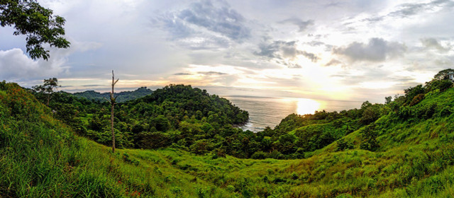 Manuel Antonio National Park is home to sloths, toucans, frogs and monkeys, alomgside a host of other wildlife.