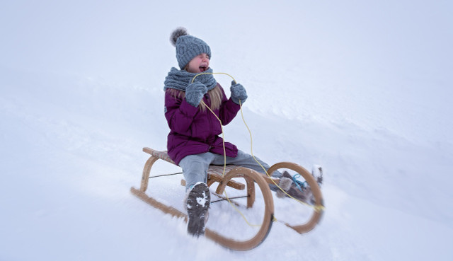 Especially if you live in a more rural area, a sleigh ride can be a budget-friendly and  adventerous way to spend a winter day.