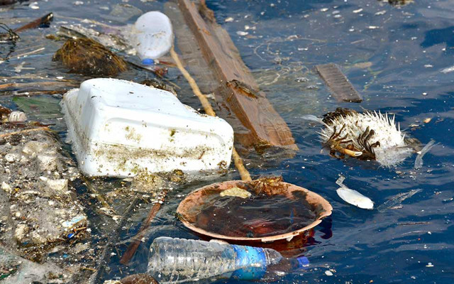 Plastic pollution in the ocean destroys ecosystems