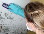 Black mold removal removing mold