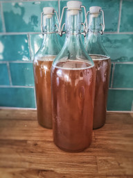 Kombucha tea is a potent probiotic as well as a great substitute for coffee.