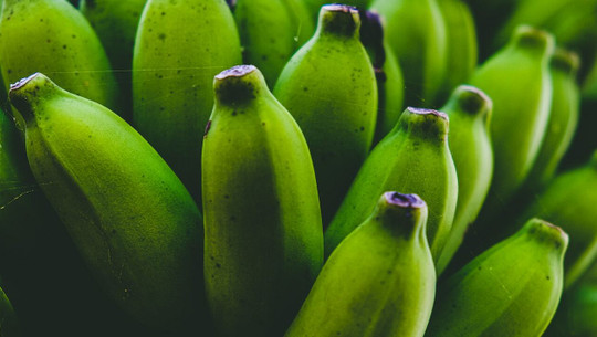 benefits of green bananas