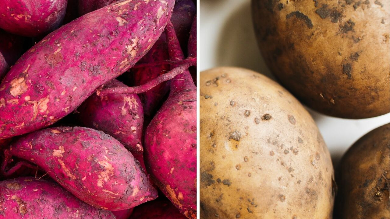 https://images.utopia.org/W_Gz8NdCrZzWsOYB1HHWNme2PwcW9aTJboinb_hNXNI/rt:fill/w:1280/h:720/g:ce/plain/2022/03/sweet-potato-vs-russet-potato-cc0-public-domain-pexels-jorge-romero-polina-220330.jpg