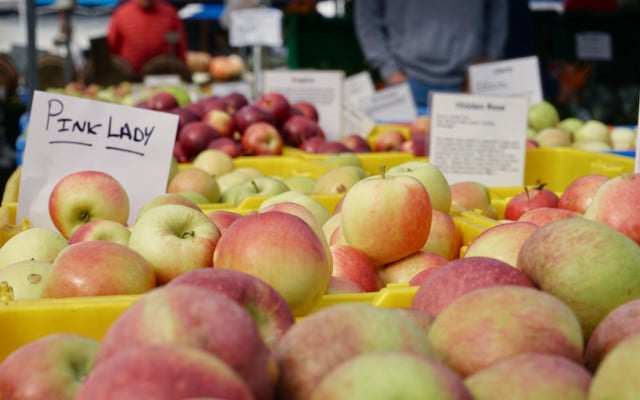 Apple storage pink lady how to store apples