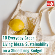 10 Everyday Green Living Ideas: Sustainability on a Shoestring Budget