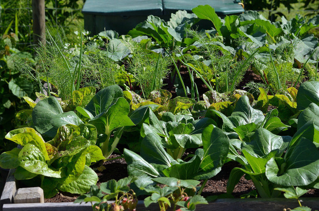 More people are using community composting programs.