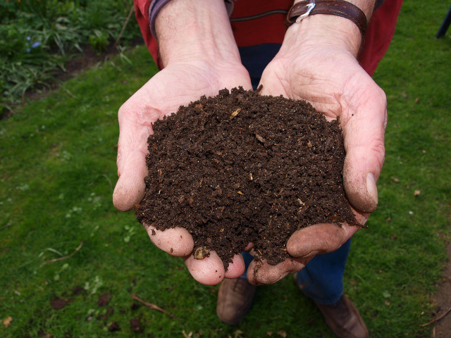 Knowing how to create the right conditions for controlled decay is essential in mastering how composting works.