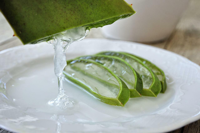 Aloe vera is rich in plant compounds.