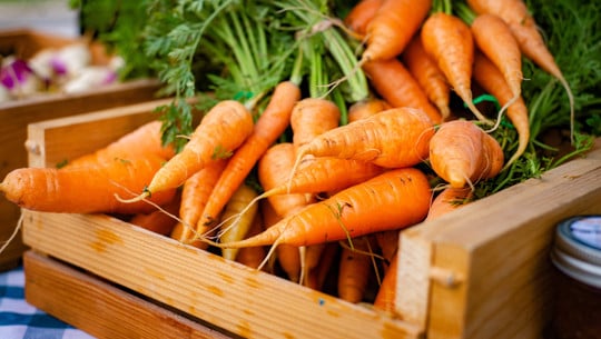 How to Store Carrots Like a Pro storing carrots at home