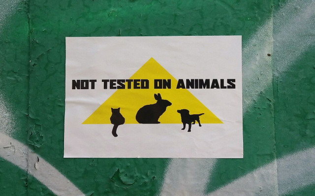 The standards for animal testing range significantly around the world. 