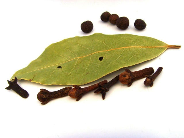 Bay leaves are tough and leathery, mainly used for subtle flavoring.