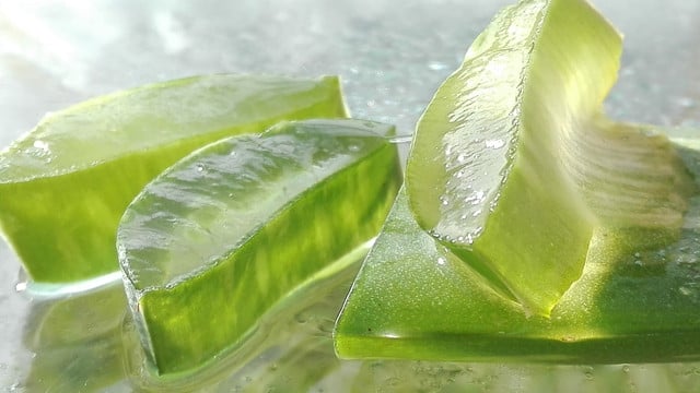 Preserving aloe vera gel is easy if you use your freezer. 
