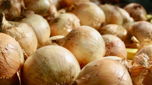 Onion skins uses