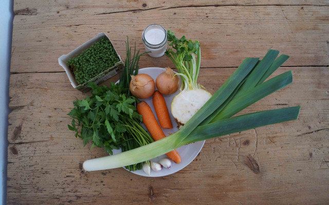 Vegetable stock recipe ingredients
