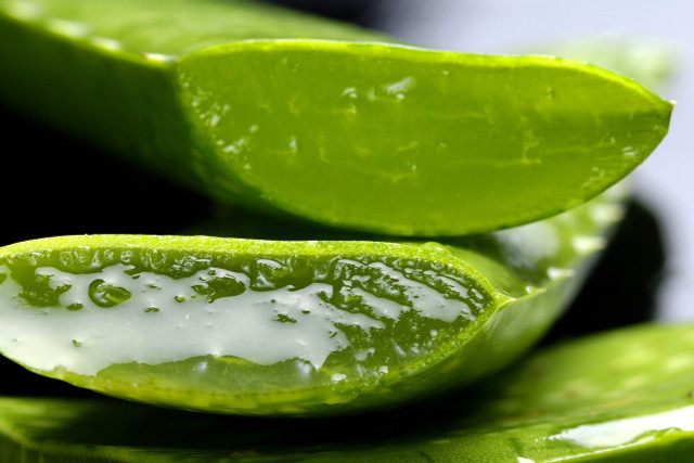 Use a piece of your aloe vera plant for a massage.