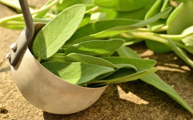 Home remedies for dry cough sage