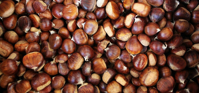 chestnuts good for you