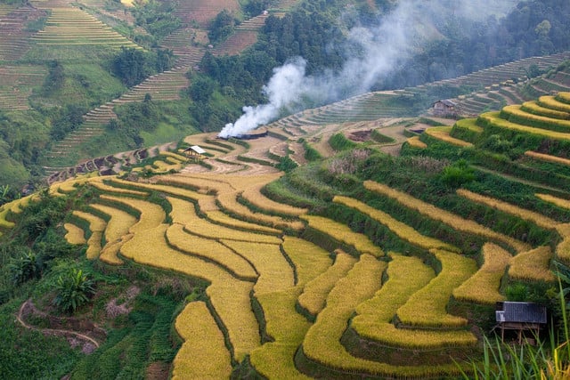 Drinking tea seems like a harmless practice, but there is a dark truth in the industry. 