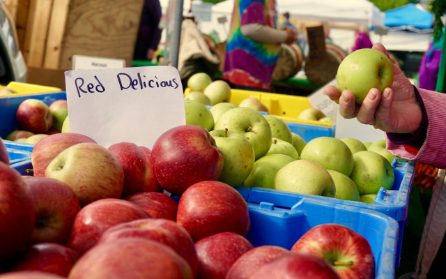 Farmers market bin apples 