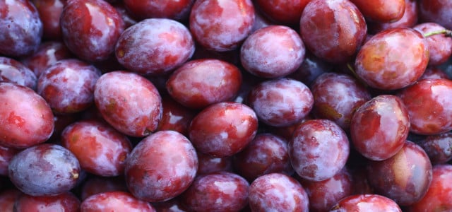 preserving plums