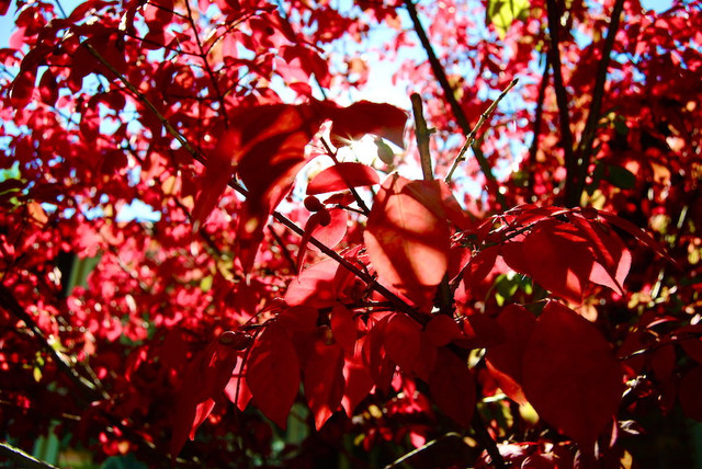 autumnleaves-x-kstankss-260820-864x578-1