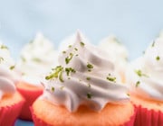 dairy-free frosting