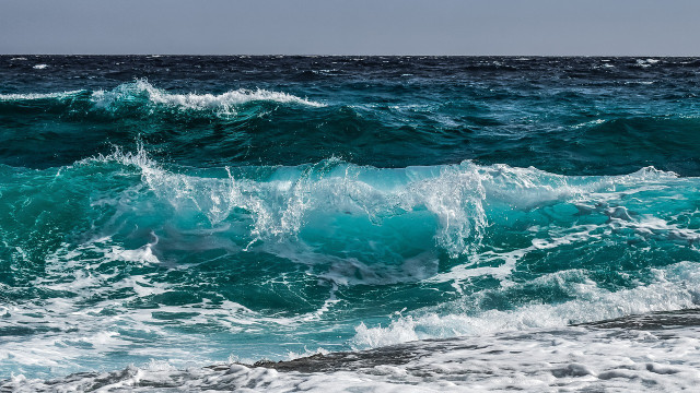 What causes ocean acidification can be summed up in two words: carbon emissions.
