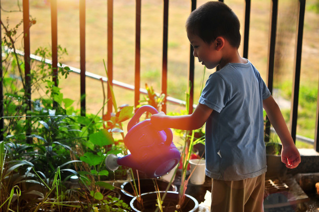 Keep your kids away from potentially toxic plants. 