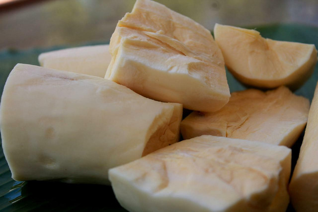 Cassava is a root vegetable, similar to sweet potato.
