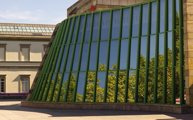 Reasons why birds keep flying into windows mirrored reflective glass buildings