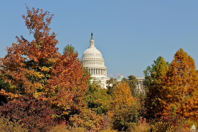 Washington, D.C. is full of museums and monument. 