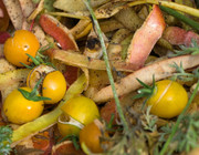 10 Surprising Benefits of Composting