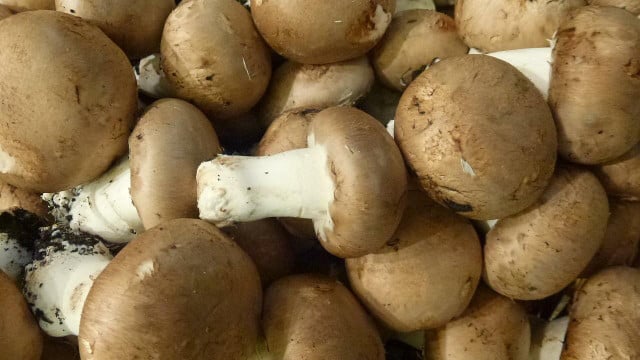 clean mushrooms