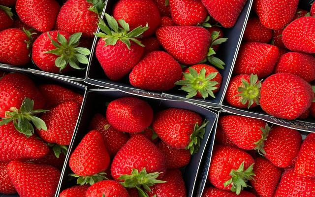 There are various methods for storing fresh strawberries. 