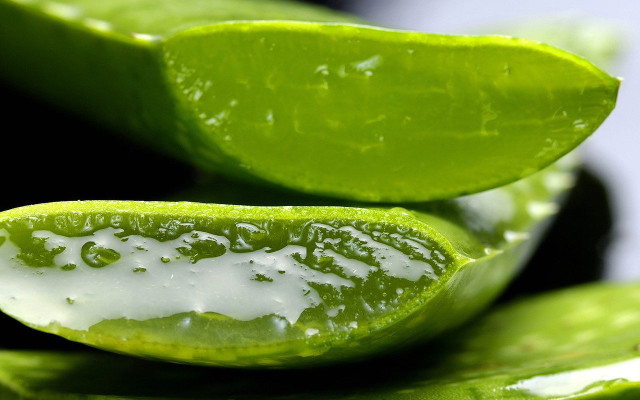 aloe vera to relieve dry skin and heat rash